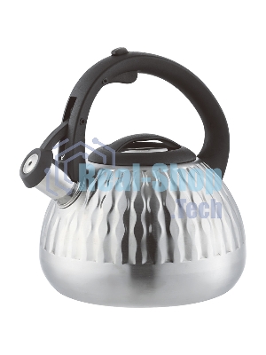 Чайник со свистком Zeidan Z-4518