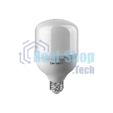 Лампа светодиодная ОНЛАЙТ 82901 OLL-T80-30-230-865-E27 30 Вт