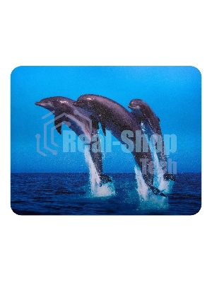 Коврик для мыши Buro BU-M40083 пластиковый дельфины 230х180х2мм