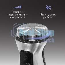 Блендер Zigmund & Shtain BH-241 M