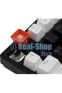 Клавиатура проводная Defender Hawk GK-418, USB, черный/белый