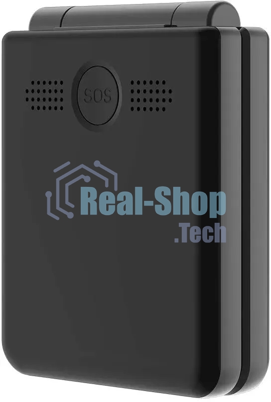 Мобильный телефон BQ 2456 Pocket черный