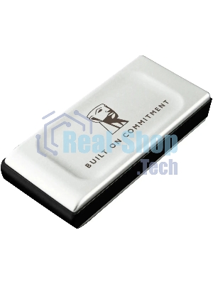 Внешний SSD Kingston XS2000, 1TB, USB 3.2 Gen 2x2 Type-C, R/W 2000/2000, серебристый