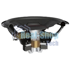 Сабвуфер автомобильный Pioneer TS-WX306T 350Вт пассивный (30 см/12