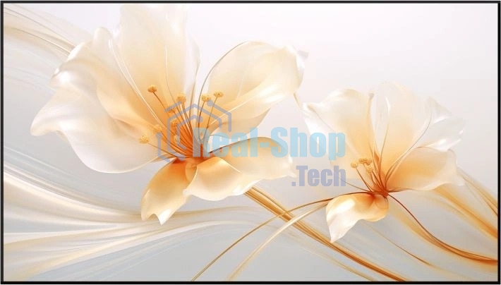 Экран на раме Xgimi 127.6x224.5 см 100