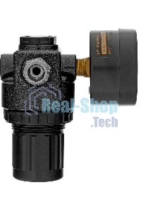 Регулятор давления с манометром Denzel R1500, 12 бар, 1/4