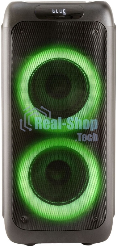 Акустическая система AIWA CAS-500