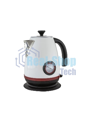 Чайник электрический Pioneer KE570M