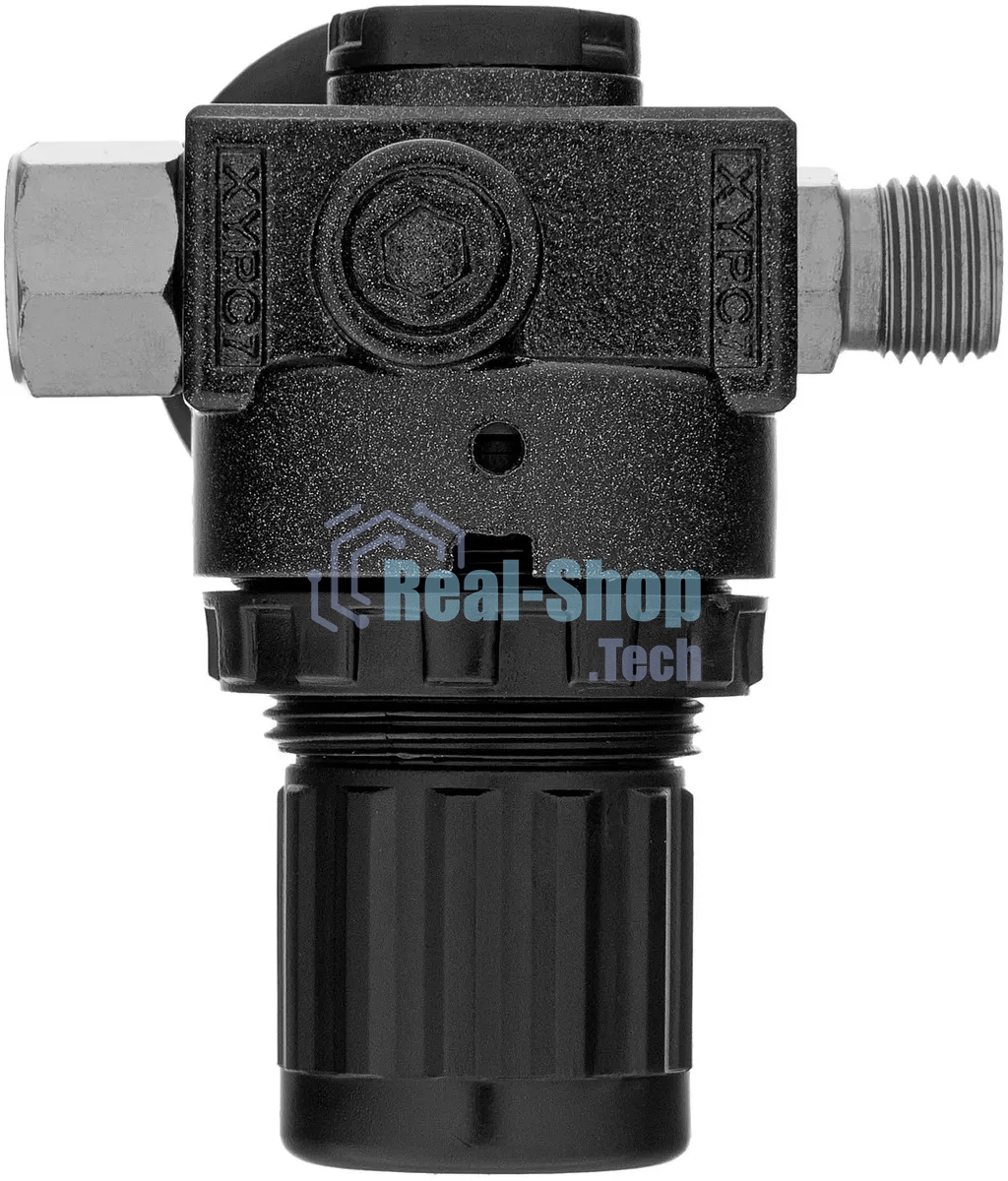 Регулятор давления с манометром Denzel R1500, 12 бар, 1/4