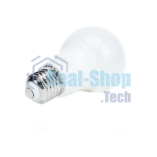 Лампа светодиодная EUROLUX LL-E-A60-9W-230-2