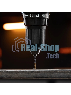 Сверло по металлу Denzel 2,5 мм, HSS-Tin, Golden Tip, 10 шт.