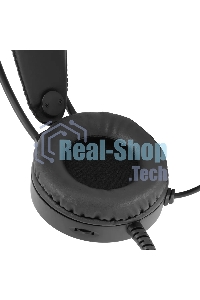 Гарнитура проводная с микрофоном Оклик HS-L300G Black черный 2.2м мониторные USB оголовье (1796949)