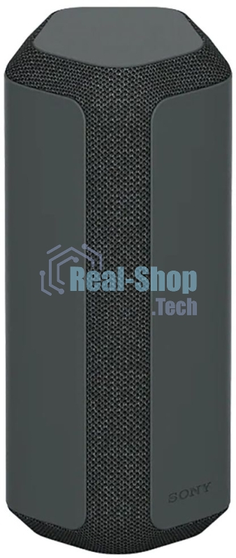 Беспроводная колонка Sony SRS-XE300, черный