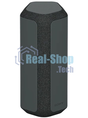 Беспроводная колонка Sony SRS-XE300, черный