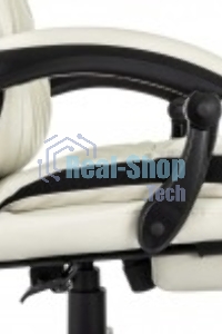 Кресло руководителя Бюрократ CH-824MSG-BF слоновая кость, эко.кожа/ткань, пластик