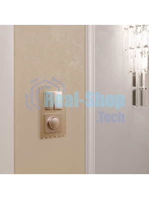 Рамка WERKEL на 2 поста (шампань,стекло) W0021111