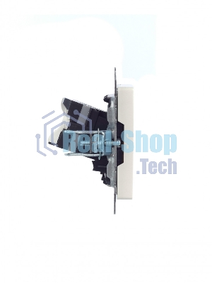 Розетка компьютерная IEK BRITE РК10-БрЖ RJ45 кат.5E жемчуг