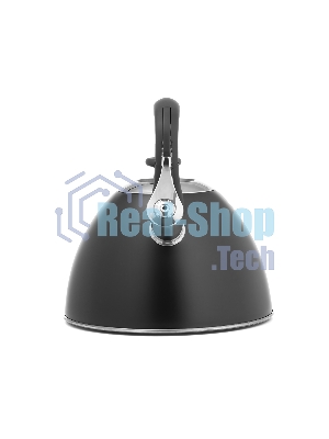 Чайник для плиты Lara LR00-74 3 л, нержавеющая сталь, черный матовый