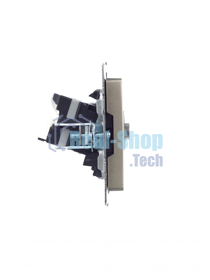 Розетка телевизионная двойная TV+RJ45 IEK Brite РТВ/РК12-БрШ (BR-AK20-1-K37) кат.5E шампань