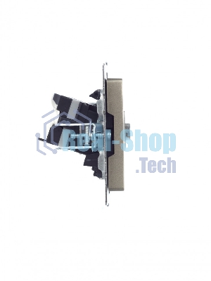 Розетка телевизионная двойная TV+RJ45 IEK Brite РТВ/РК12-БрШ (BR-AK20-1-K37) кат.5E шампань