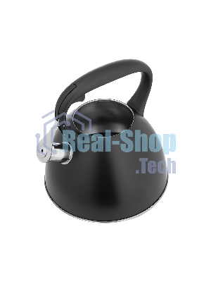 Чайник для плиты Lara LR00-74 3 л, нержавеющая сталь, черный матовый