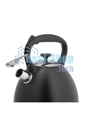 Чайник для плиты Lara LR00-74 3 л, нержавеющая сталь, черный матовый