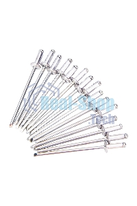 Ручной заклепочник Deli DL236910T 10,5