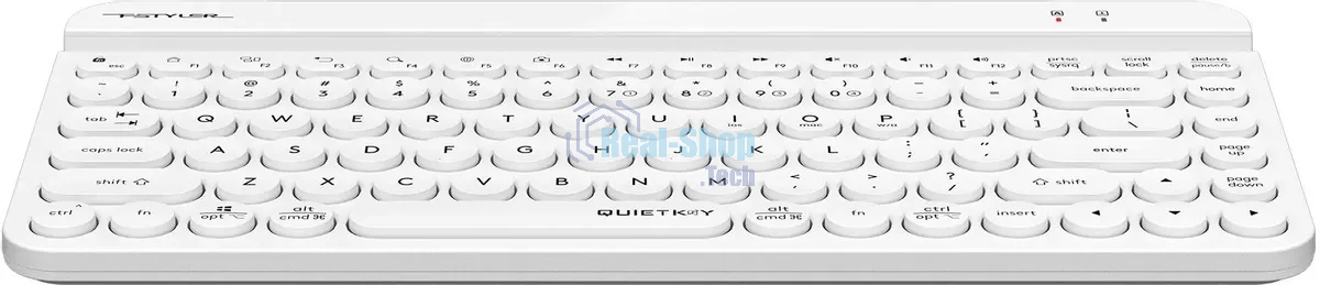 Клавиатура беспроводная A4Tech Fstyler FBK30 белый USB
