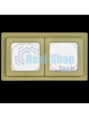 Рамка 2-местная IP55 Рпро-2-55-ФлО оливковый FLITE