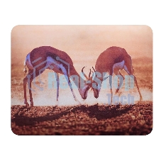 Коврик для мыши Buro BU-M40077 коричневый/рисунок