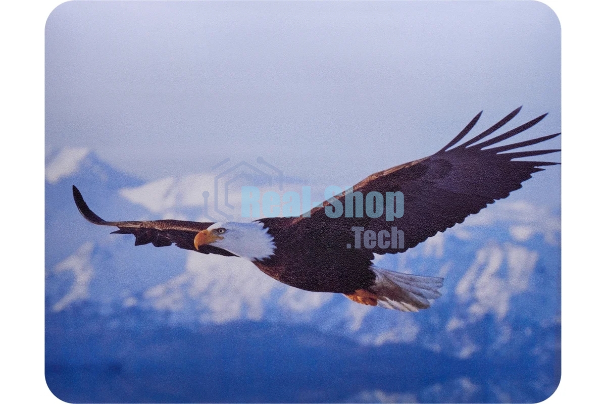 Коврик для мыши Buro BU-M40005 рисунок/орел
