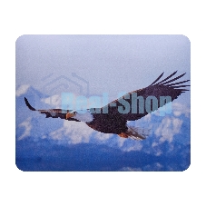 Коврик для мыши Buro BU-M40005 рисунок/орел