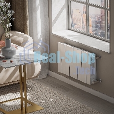 Радиатор биметаллический Royal Thermo PianoForte 300 белый - 8 секц.