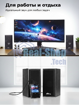Портативная колонка Ritmix SP-3035W