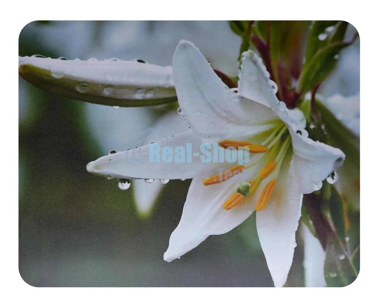 Коврик для мыши Buro BU-M20041 рисунок/лилия