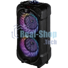 Портативная акустика AKSBERRY (6900305460018) AS-27 EchoBoom, черный Портативная акустика AKSBERRY (6900305460018) AS-27 EchoBoom, черный