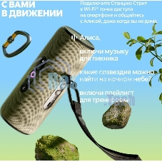 Умная колонка Яндекс Станция Стрит с Алисой, портативная, модель YNDX-00030VIO (фиолетовый)