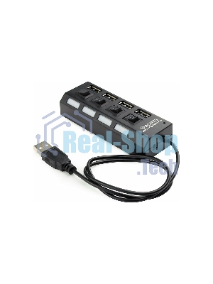 USB-концентратор Gembird UHB-243-AD, USB 2.0, USB 4 порта с подсветкой и выключателем, USB