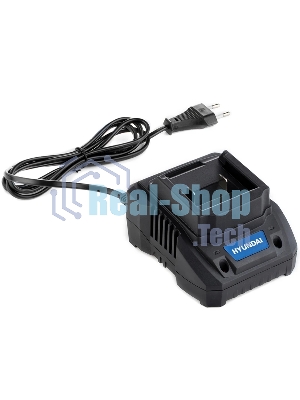 Зарядное устройство Hyundai HYCH 2001
