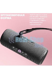 Умная колонка Яндекс Станция Стрит с Алисой, портативная, модель YNDX-00030GRY (серый)