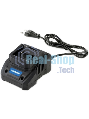 Зарядное устройство Hyundai HYCH 2001