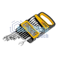 Набор ключей комбинированных трещоточных Denzel 6-19 мм, 8 шт., CrV, матовый хром 14721