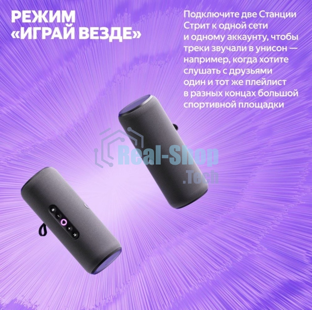 Умная колонка Яндекс Станция Стрит с Алисой, портативная, модель YNDX-00030GRY (серый)