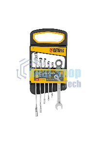 Набор ключей комбинированных трещоточных Denzel 6-17 мм, 6 шт., CrV, матовый хром 14720