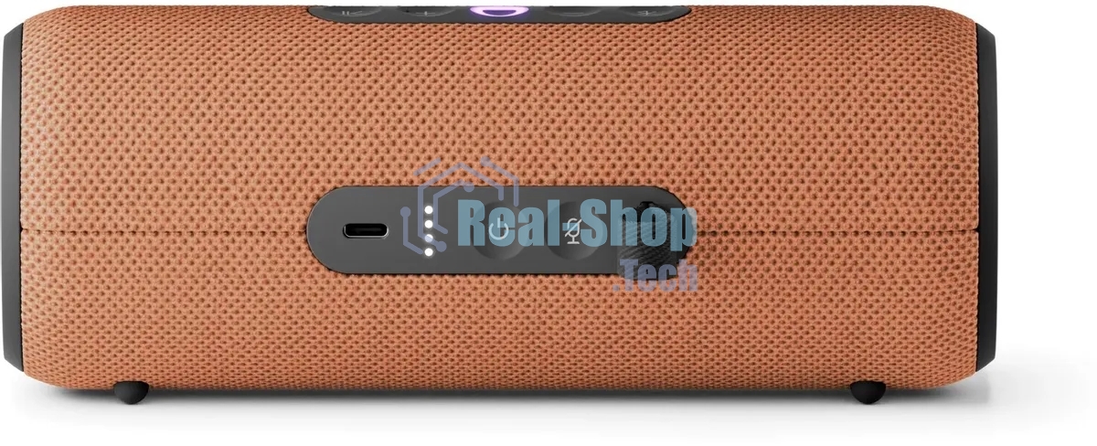 Умная колонка Yandex Стрит Алиса оранжевый 30W 2.0 BT/Wi-Fi 10м 3300mAh (YNDX-00030ORG)