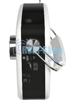 Радиоприемник RITMIX RPR-705 белый