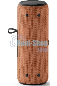 Умная колонка Yandex Стрит Алиса оранжевый 30W 2.0 BT/Wi-Fi 10м 3300mAh (YNDX-00030ORG)