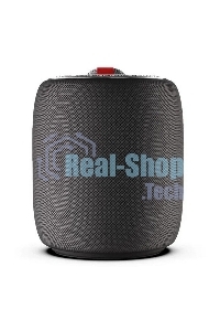 Портативная колонка MONSTER SUPERSTAR s110 (MS11901) черная