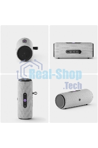 Умная колонка Яндекс Станция Стрит с Алисой, портативная, модель YNDX-00030GRY (серый)