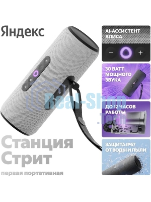 Умная колонка Яндекс Станция Стрит с Алисой, портативная, модель YNDX-00030GRY (серый)